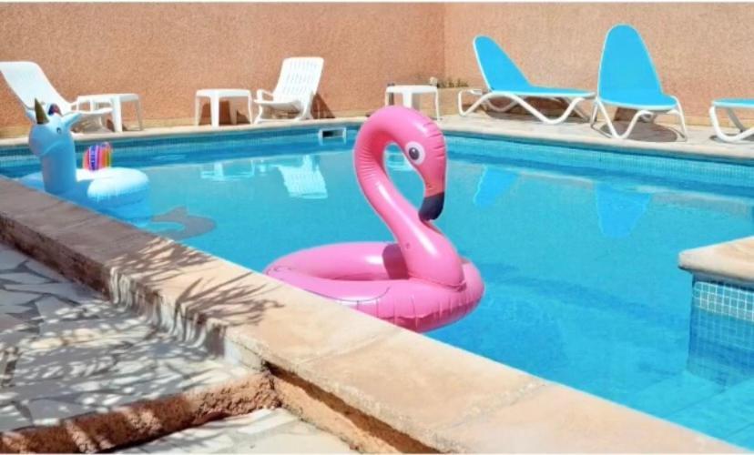 Hotel Saint Georges, Face A La Mer Canet-en-Roussillon Dış mekan fotoğraf